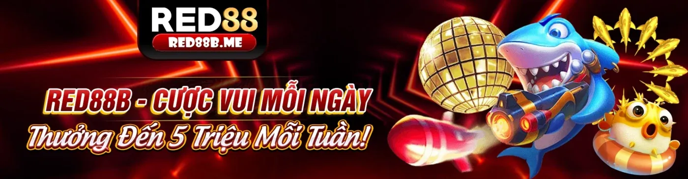 Banner khuyến mãi 79 kinh